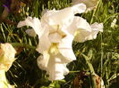 P1240327