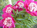 P1240333
