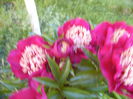 P1240339