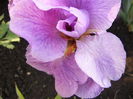 P1240346