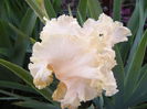 P1240350