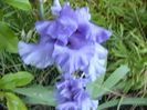 P1240353
