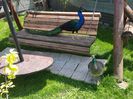 20150522_131129