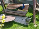 20150522_131127