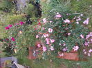 DSCN1831