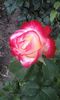20150516_090304