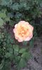 20150516_090319