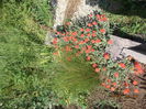 DSCN1774