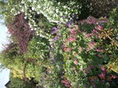 DSCN1777