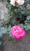 20150520_171241