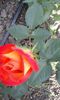 20150520_172814
