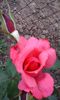 20150523_160128