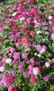 20150520_172327