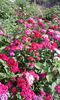 20150520_172348