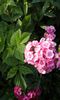 20150520_194243