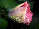 SAM_5279