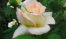 20150524_094015