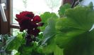 20150524_094432