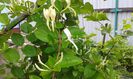20150524_092625