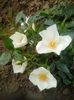 20150523_093529