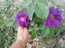 20150523_094426