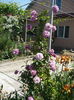 P1220368