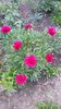 20150523_200348