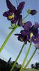 20150523_200423