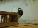 DSCN0448