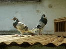 DSCN0449