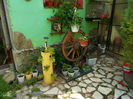 DSCN0436