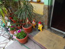 DSCN0437