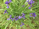 DSCF3852