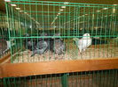 DSCN0911