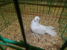DSCN0730
