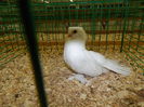 DSCN0731