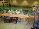 DSCN0754