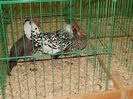 DSCN0761