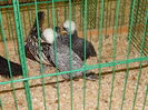 DSCN0762