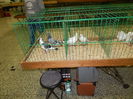 DSCN0763