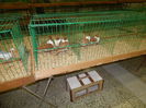DSCN0764