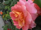 P5230128