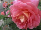 P5230133