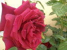 P5230201