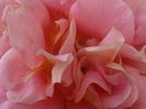 P5230213
