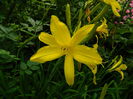 DSCN7859