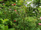 DSCN7868