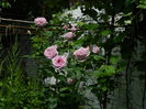 DSCN7874
