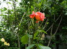 DSCN7904