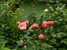 DSCN7905
